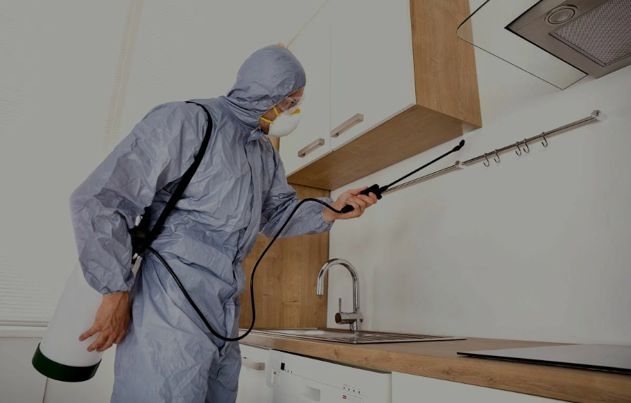 Manhattan Beach pest managment